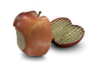 3DSystems-Software-Freeform-Lattice-Apple_0_4