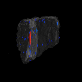 Visualization of porosity in vltavín